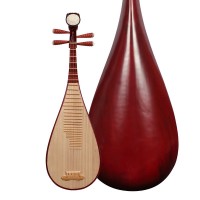 艺海琵琶 清水初学入门民族乐器儿童成人弹拨乐器 考级红木琵琶