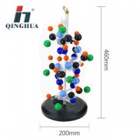 QH3212-2 青华蛋白质二级结构模型 球棍式 生物器材 厂家销售
