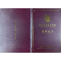 上海处甲教育书法系-成人书法教学