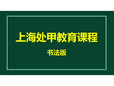 上海处甲教育书法系教学教案培训图1
