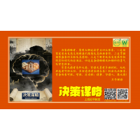 分清主次理清思路调整心态冷静反思正确决策