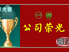 以匠人之心守教育正道 用一盏微光点亮万千成长路