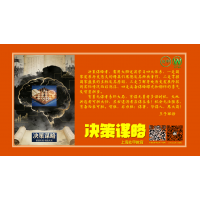 决策谋略-课程