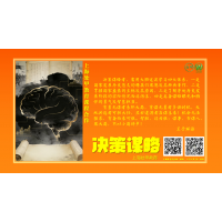 决策谋略-课程